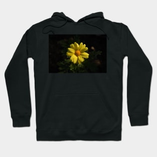 Brilliant Yellow Flower Hoodie